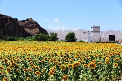 回合制战术游戏《绝密：法国 ‘44年》正式发售 售价154元