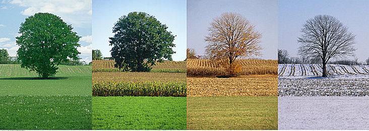 87版动画原班配音回归 《忍者龟：施莱德的复仇》将加入中文语音