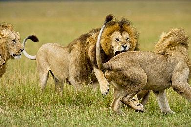 《星空：破碎空间》Steam降至多半差评 玩家担忧《上古卷轴6》